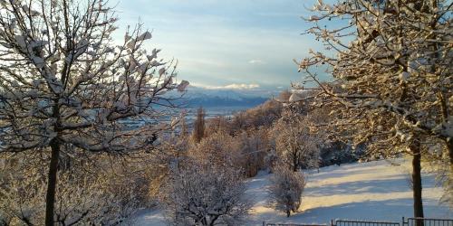 a snow covered slope with trees and mountains in the background at L'Albore in Costigliole Saluzzo