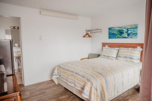 a bedroom with a bed and a television in it at Lamplighter Lodge in Panguitch