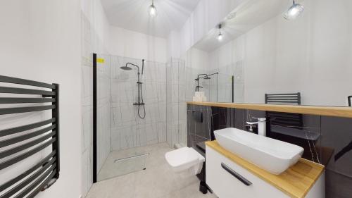 a bathroom with a shower and a sink and a toilet at roomspoznan pl - Apartamenty i Pokoje Półwiejska 20 - 24h self check-in in Poznań