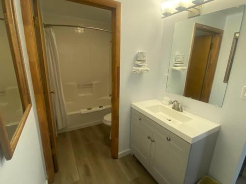 a bathroom with a sink and a toilet and a mirror at Lamplighter Lodge in Panguitch