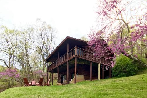 Foxtail Cabin