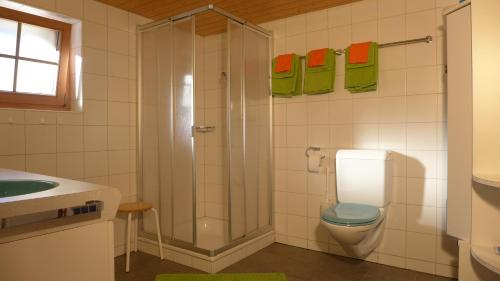 ein Badezimmer mit Dusche, Toilette und Waschbecken in der Unterkunft Hami in Adelboden
