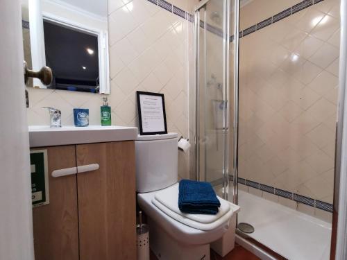 a bathroom with a toilet and a sink and a shower at Sto Antonio Guest House in Lisbon