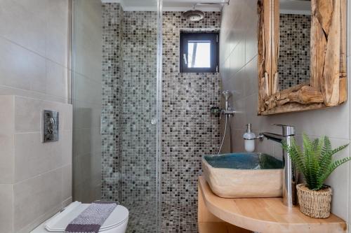 a bathroom with a shower with a sink and a toilet at Villa Paganos in Volimes