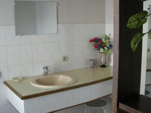 une salle de bain avec un lavabo et un vase de fleurs dans l'établissement Maison rustique avec salle de jeux, jardin, 5 chambres près du Zoo de Beauval - FR-1-591-34, à Gehée