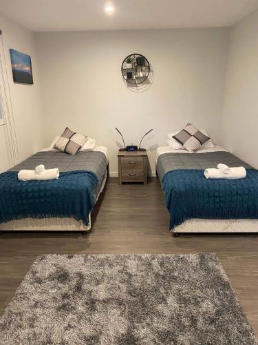 1 dormitorio con 2 camas y alfombra en Lakefront in Pisa en Cromwell