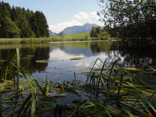 a view of a lake with grass in the foreground at Ferienhof Margarethengut in Unterach am Attersee