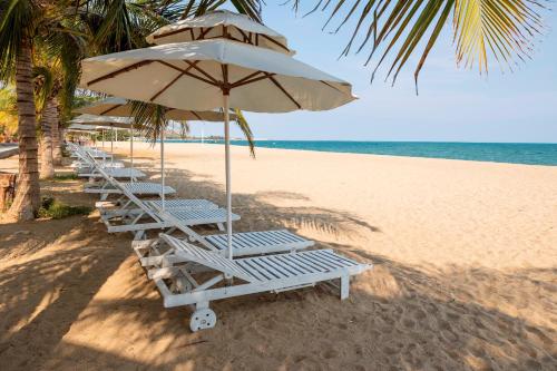 a row of lounge chairs with an umbrella on the beach at Saigon - Ninh Chu Hotel & Resort in Phan Rang