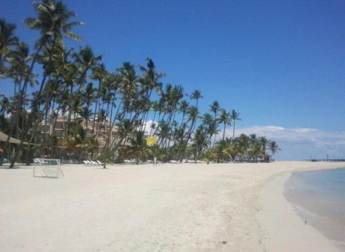 a beach with palm trees and a frisbee on it at Hacienda de Flores in Guayacanes