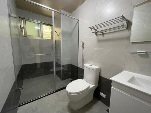 a bathroom with a toilet and a shower and a sink at 畔山民宿 in Fenchihu