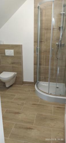 a bathroom with a shower and a toilet at Leśny Domek 