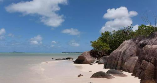 a beach with rocks and the water and trees at Villa Confort in Grand'Anse Praslin