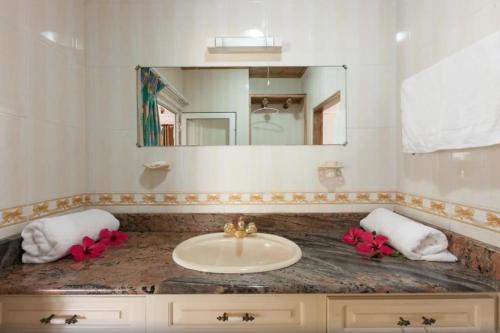 a bathroom with a sink and a mirror at Villa Confort in Grand'Anse Praslin