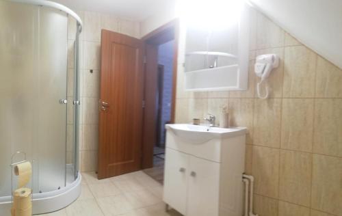 y baño con lavabo y ducha con espejo. en Cabana Iriss, en Podu Coşnii