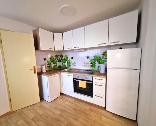 eine Küche mit weißen Schränken und einem weißen Kühlschrank in der Unterkunft Apartma Juli in Žirovnica