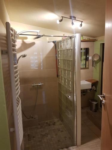 a shower with a glass door in a bathroom at Waldhaus St. Egidien in Kurort Altenberg