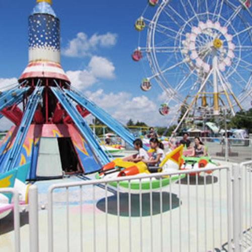 a roller coaster and a ferris wheel at a carnival at Kobe Hotel Fruit Flower in Kobe