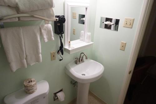 a bathroom with a sink and a toilet and a mirror at Eagle Crater Lake Inn in Chemult
