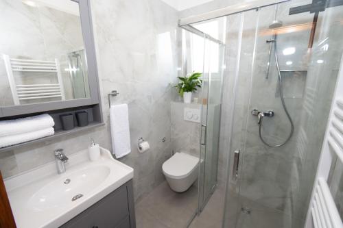 ein Bad mit einer Dusche, einem WC und einem Waschbecken in der Unterkunft The Oasis in Trilj