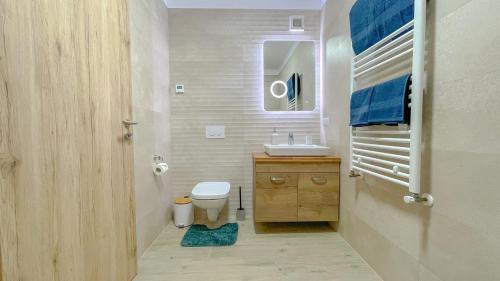 La salle de bains est pourvue d'un lavabo, de toilettes et d'un miroir. dans l'établissement DreamView Apartment with private parking, à Braşov