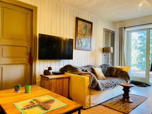 een woonkamer met een bank en een tv bij Cocon alpin, Situation top, Chalet Reine des neiges in Megève
