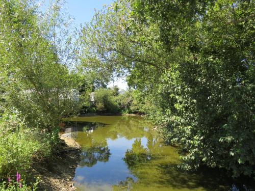 a river between two trees with reflections in the water at Camping Les P'tites Maisons dans la Prairie in Sallertaine