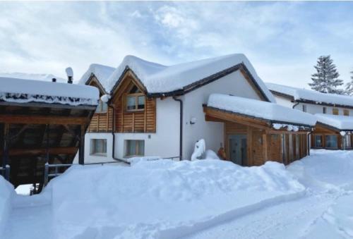 une maison recouverte de neige avec un tas de neige dans l'établissement Just 10min from Lenzerheide - Apartment in Vazerol, à Brienz