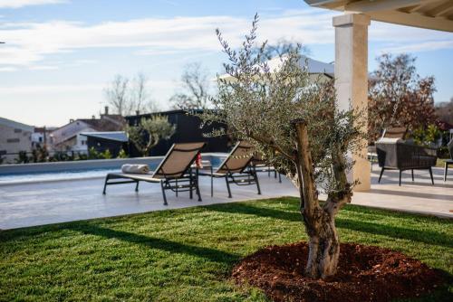 a tree sitting in a yard next to chairs at Villa Oliva Muntrilj in Muntrilj