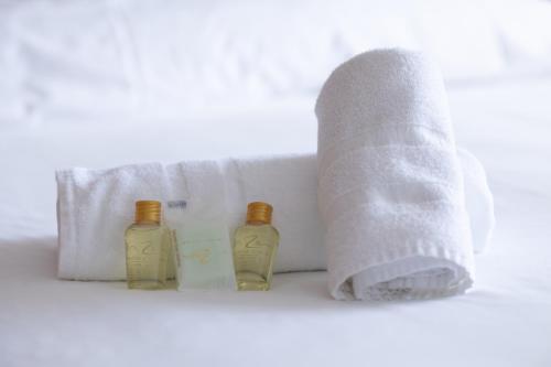 una toalla y tres botellas junto a un rollo de papel higiénico en El Mirador de Urdaibai, en Busturia