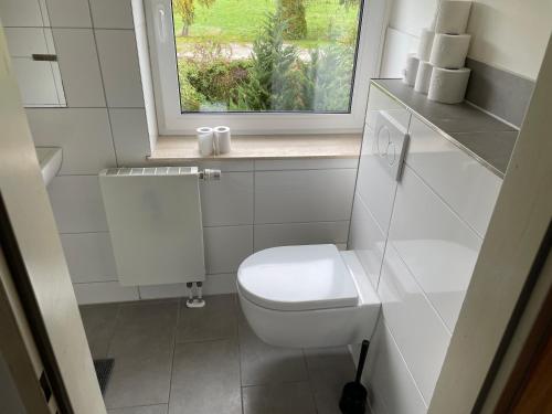a small bathroom with a toilet and a window at Monteurunterkunft Langenhorst in Groß Niendorf