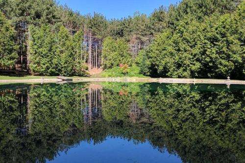 a view of a lake with trees in the background at A rustic cabin in the woods in Orangeville