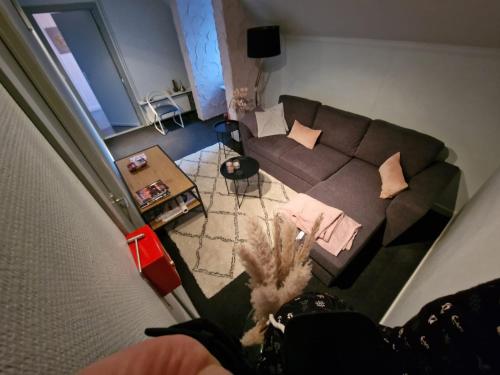 een woonkamer met een bank bij Pivoné Assebroek in Brugge