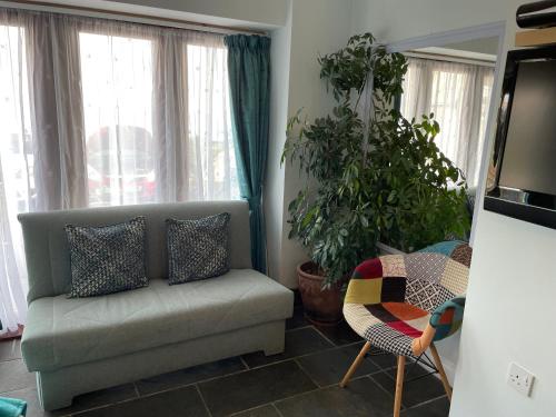 a living room with a couch and a plant at Sawyers Bed and Breakfast in Looe