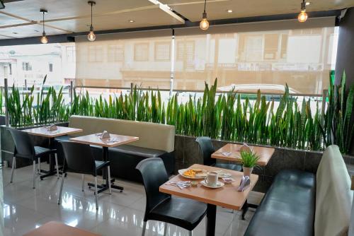 un restaurante con 2 mesas, sillas y plantas en Hotel Volare, en Armenia