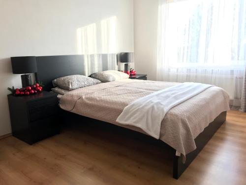 um quarto com uma cama grande e 2 almofadas em Upes apartamenti Nr: 32 em Valmiera