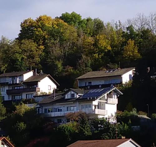 un groupe de maisons sur une colline plantée d'arbres dans l'établissement Blick ins Wutachtal, à Wutöschingen