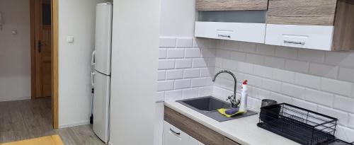 a kitchen with a sink and a refrigerator at Apartament Busko-Zdrój - Franio in Busko-Zdrój