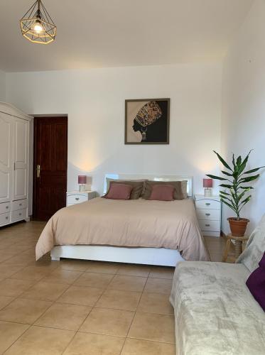 a bedroom with a bed and a potted plant at Casa Jasmin Haria in Haría