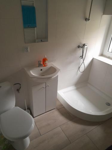 La salle de bains blanche est pourvue de toilettes et d'un lavabo. dans l'établissement Willa Zawady, à Białystok
