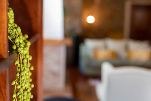 a bunch of green grapes hanging from a door at Hotel El Tejar & Spa in Vilaflor