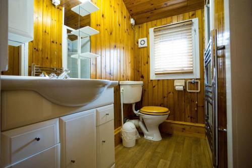 a wooden bathroom with a sink and a toilet at Mountain View Log Cabin - Wales in Trawsfynydd