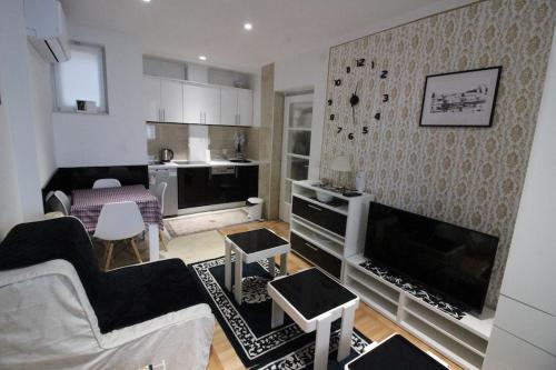 特雷比涅的住宿－Dučić Apartment，带沙发和电视的客厅