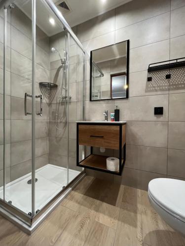 a bathroom with a shower and a sink and a toilet at Pokoje Beata in Wisła