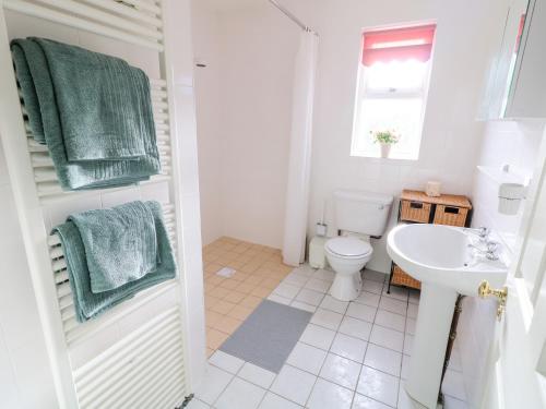 La salle de bains est pourvue de toilettes blanches et d'un lavabo. dans l'établissement 17 Buninver Road, à Omagh