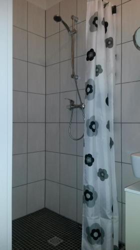 a shower curtain with eyes on it in a bathroom at Ferienwohnung Rose in Glan-Münchweiler
