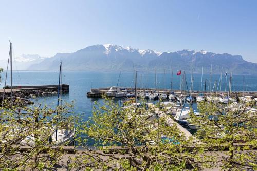 a group of boats docked at a marina with mountains at Lakeside-Apartment-1 Grand appartement familial avec 2 terrasses et vue panoramique in Vevey
