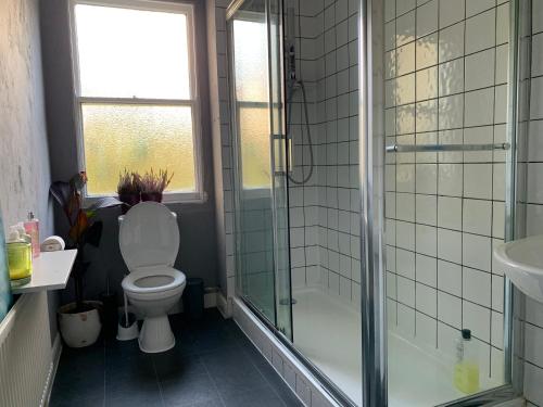 a bathroom with a toilet and a shower and a sink at Flat Near Richmond Upon Thames in Richmond