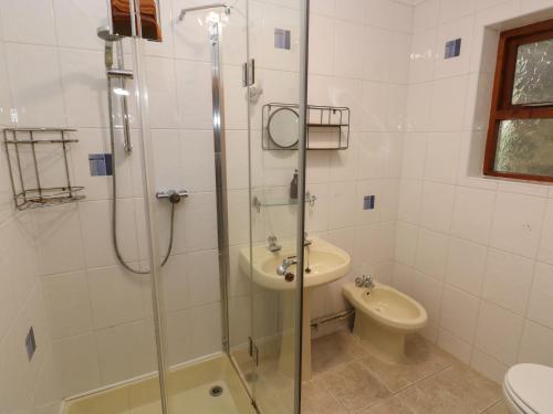 a bathroom with a shower and a sink and a toilet at Banc Y Capel in Newport