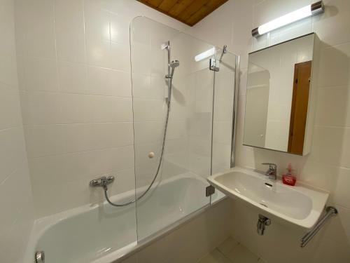 a bathroom with a shower and a sink and a mirror at Ferienwohnung Gangsteig in Grödig