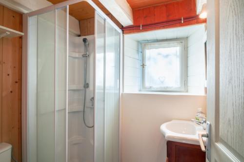 a bathroom with a shower and a sink at La Petite Chaumière in Riec-sur-Bélon